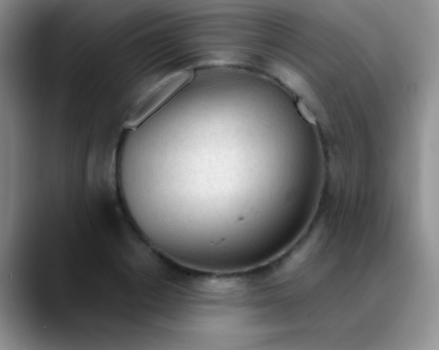 X0000089890842200707192013