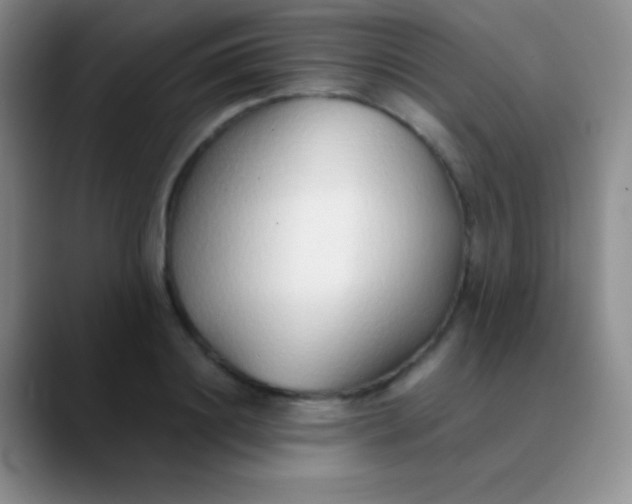 X0000089890844200707192013