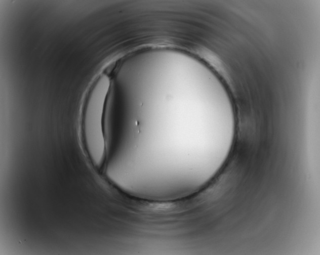 X0000089890845200707192013