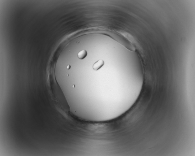 X0000089890846200707192013