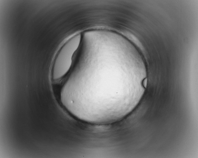 X0000089890847200707192013