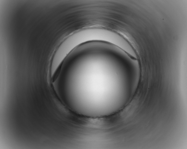 X0000089890850200707192013