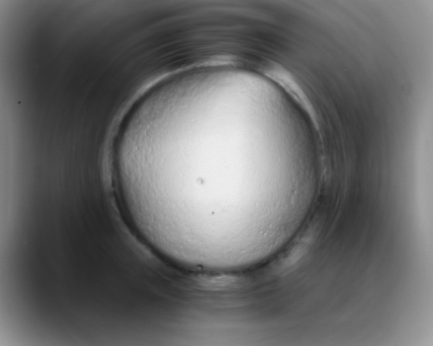 X0000089890851200707192013