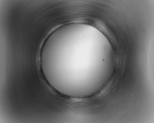 X0000089890852200707192013