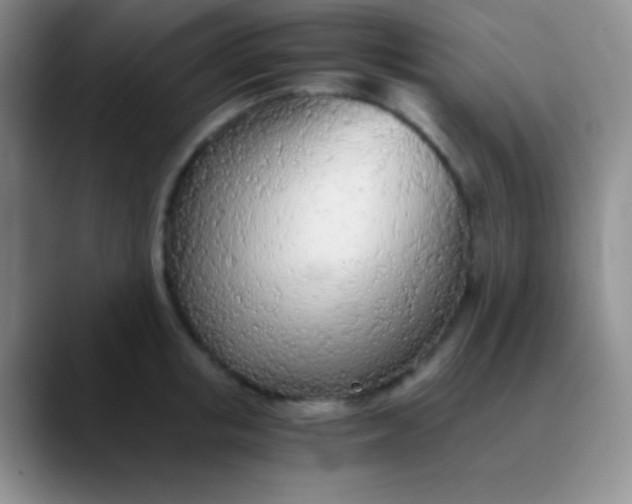 X0000089890853200707192013