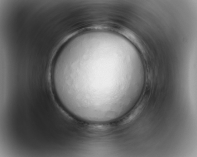 X0000089890855200707192013