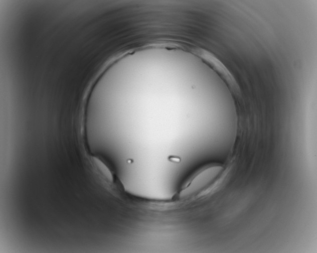 X0000089890860200707192013