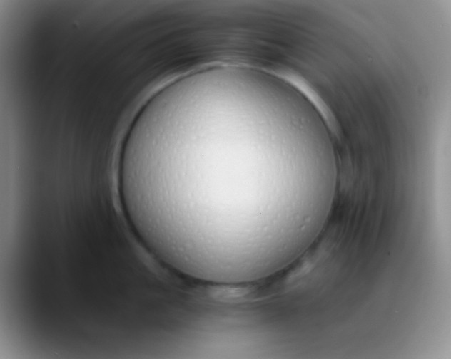 X0000089890861200707192013