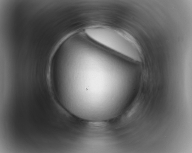 X0000089890863200707192013