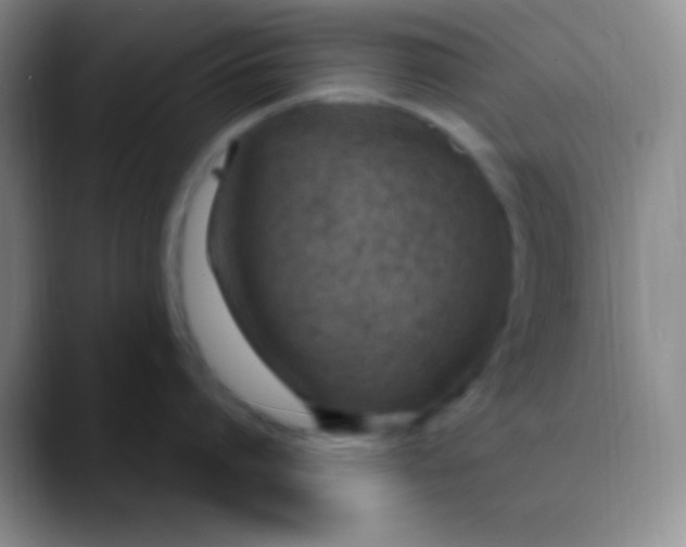 X0000089890864200707192013