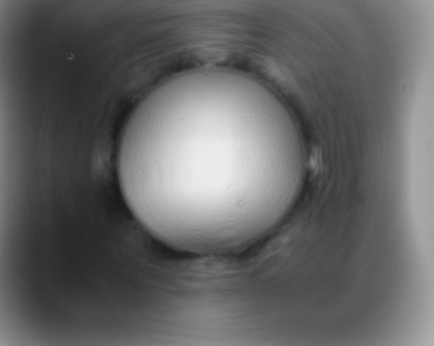 X0000089890867200707192012