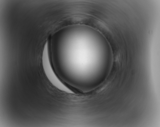 X0000089890868200707192012