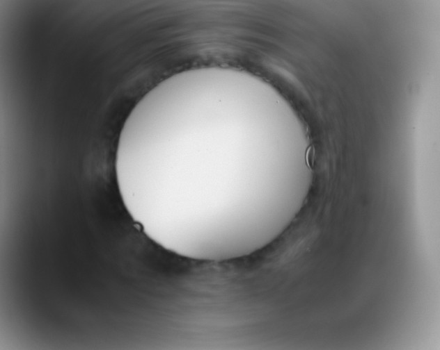 X0000089890869200707192012