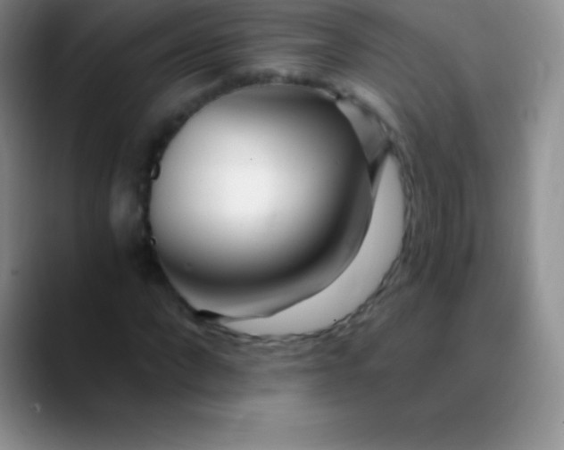 X0000089890872200707192012