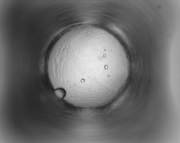 X0000089890875200707192012