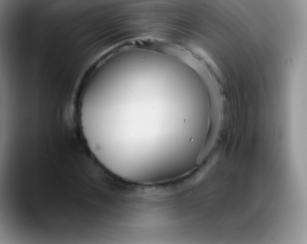 X0000089890876200707192012