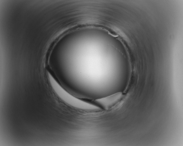 X0000089890877200707192012