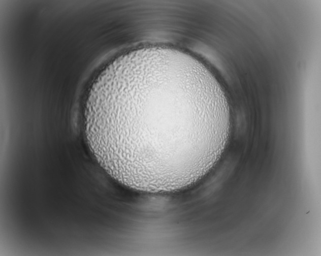 X0000089890878200707192012