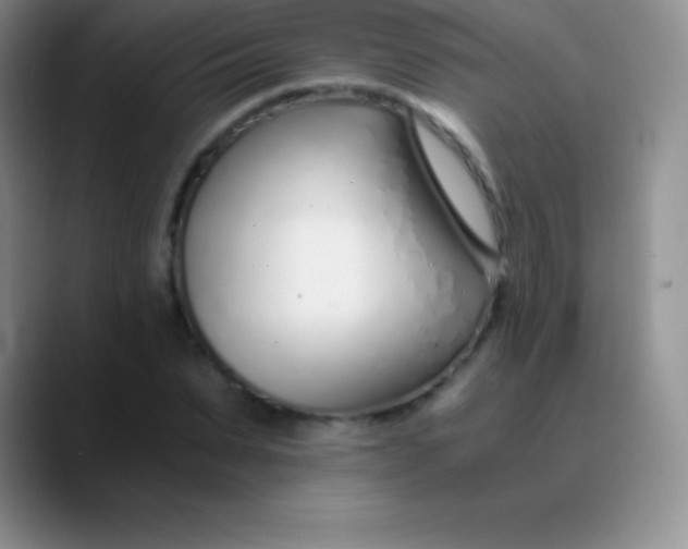 X0000089890879200707192012