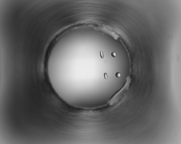 X0000089890880200707192012