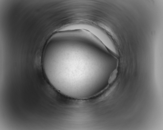 X0000089890881200707192012