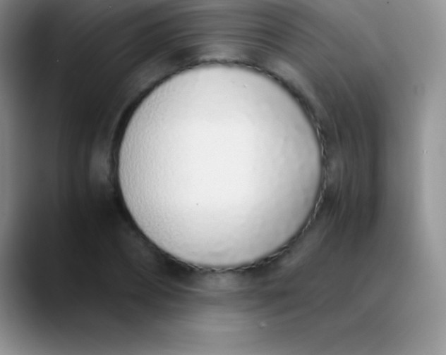 X0000089890882200707192012