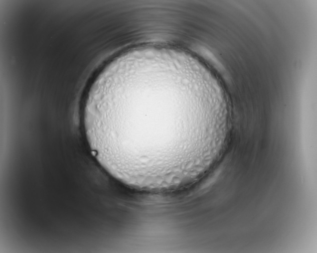 X0000089890883200707192012