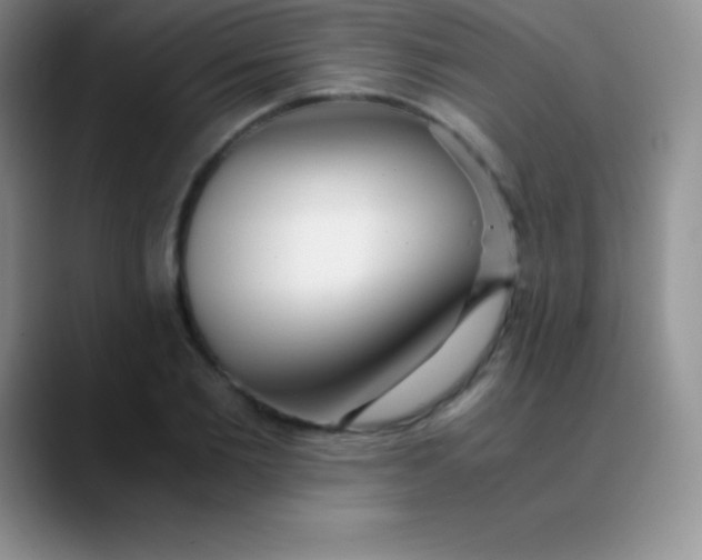 X0000089890885200707192012