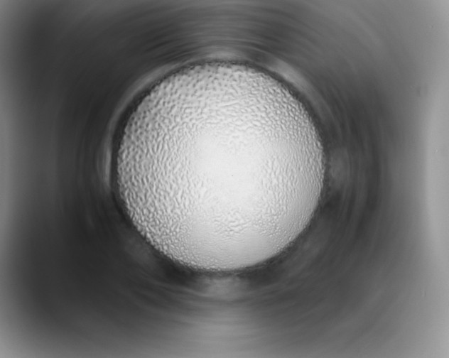 X0000089890886200707192012