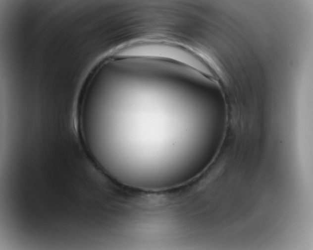 X0000089890888200707192012