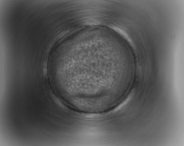 X0000089890889200707192012