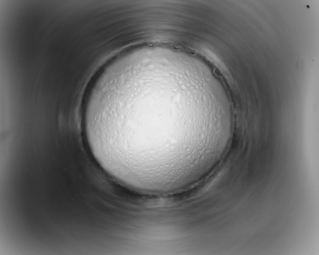 X0000089890891200707192012