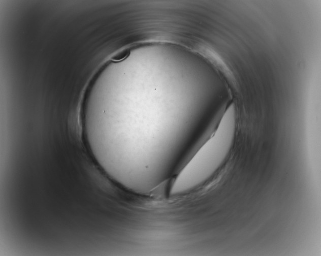 X0000089890892200707192012