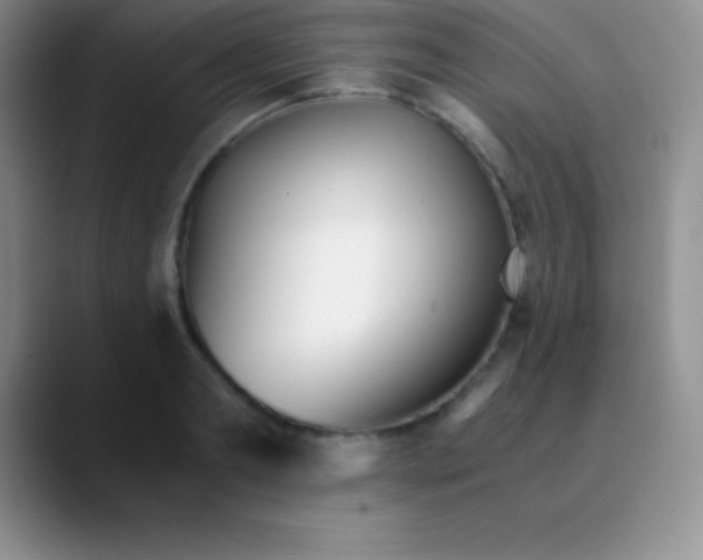 X0000089890893200707192012