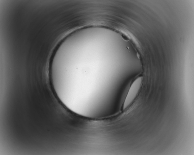 X0000089890894200707192012