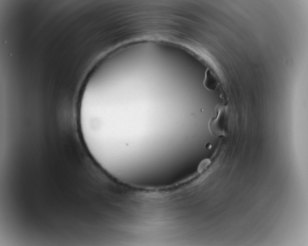 X0000089890896200707192012