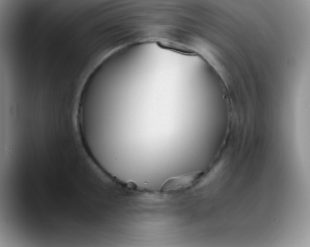 X0000089890901200707192012