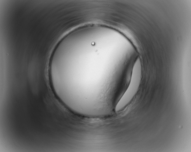 X0000089890903200707192012