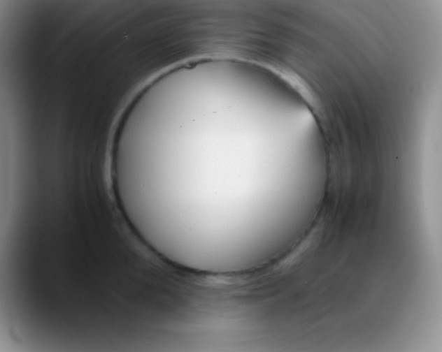 X0000089890904200707192012