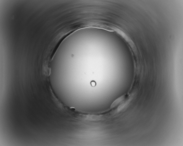 X0000089890905200707192012