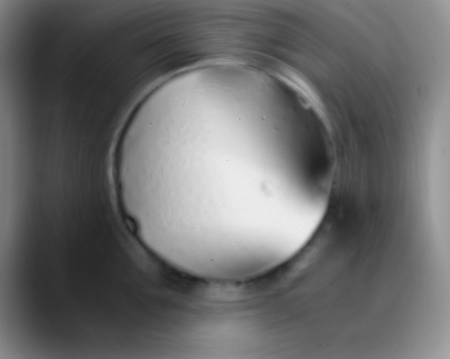 X0000089890907200707192012