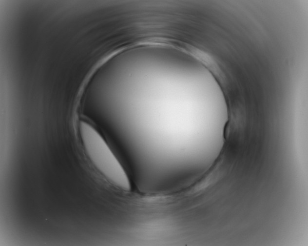 X0000089890908200707192012