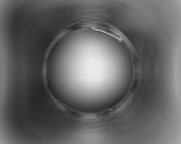 X0000089890909200707192012