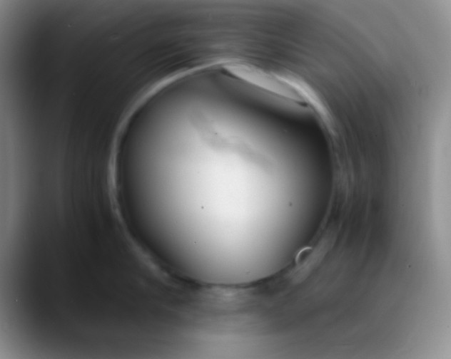 X0000089890910200707192012