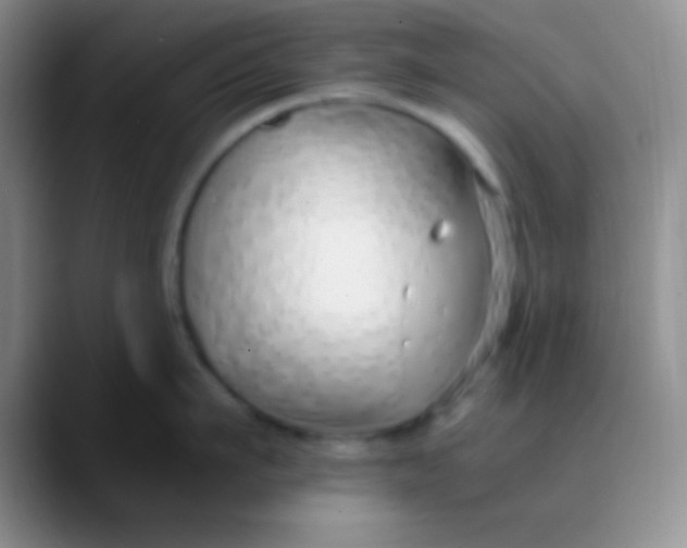 X0000089890911200707192012