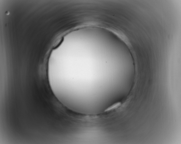 X0000089890912200707192012