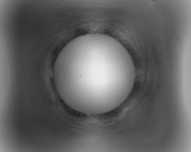 X0000089890913200707192011