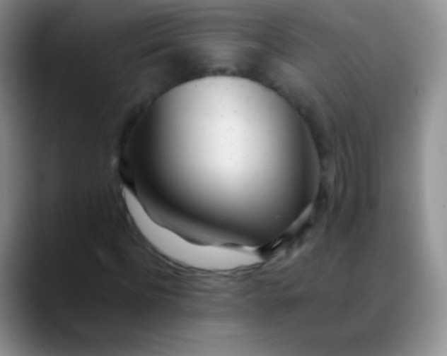 X0000089890916200707192011