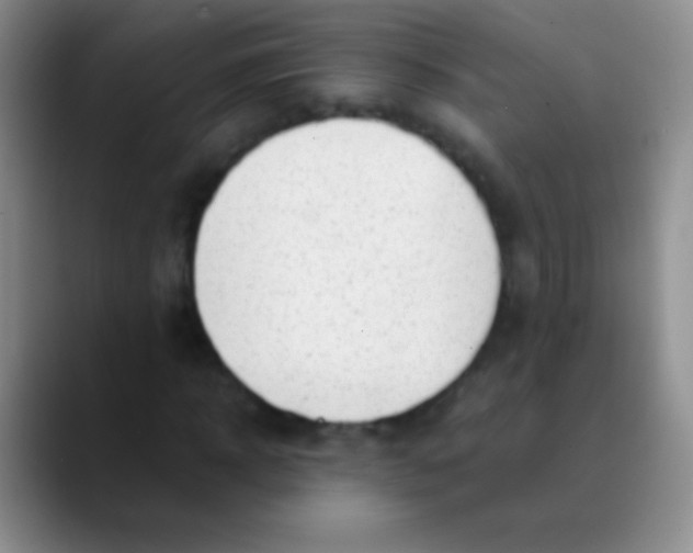 X0000089890918200707192011