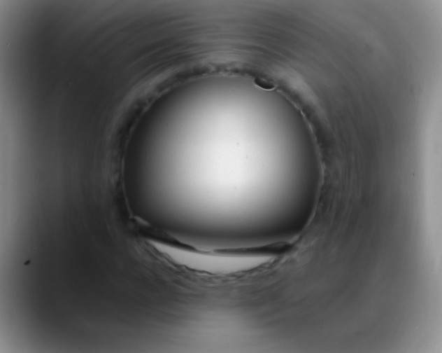 X0000089890920200707192011